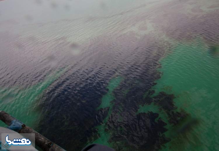 سرانجام آلودگی‌های نفتی خلیج‌فارس چه شد؟