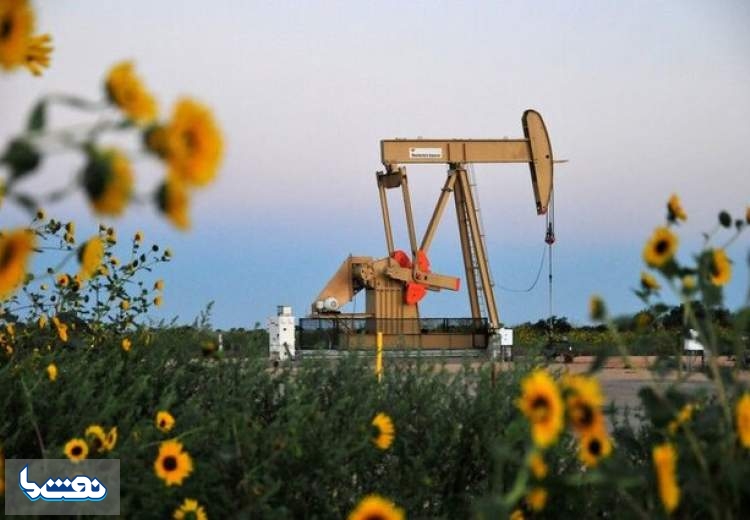 تولید نفت آمریکا افزایش می یابد
