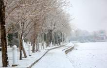 بارش برف در تهران از دوشنبه