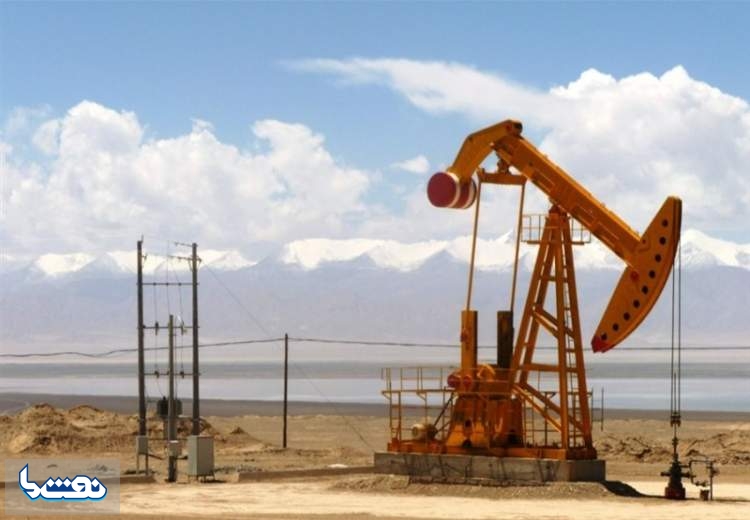 کاهش ۳۱۰ هزار بشکه‌ای پیش بینی تقاضای نفت