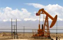 کاهش ۳۱۰ هزار بشکه‌ای پیش بینی تقاضای نفت
