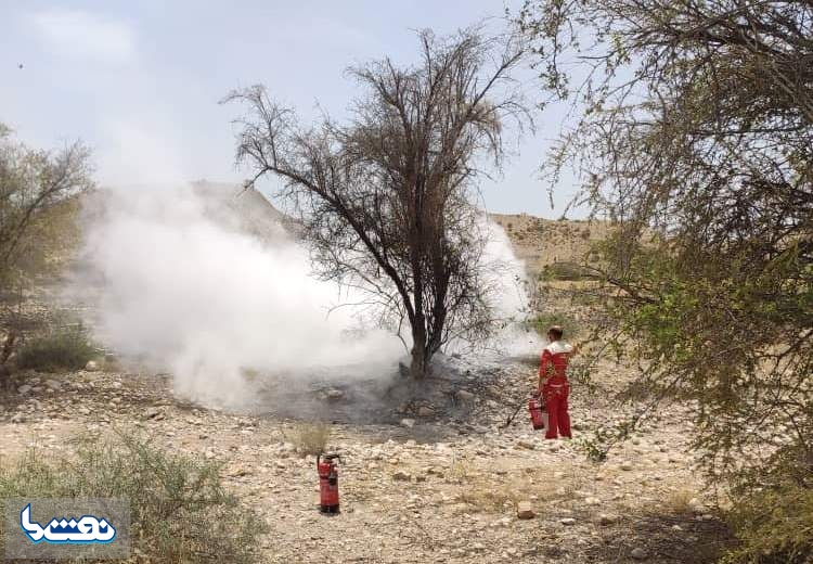  مهار آتش سوزي در نزدیکی یک خط لوله نفتی  