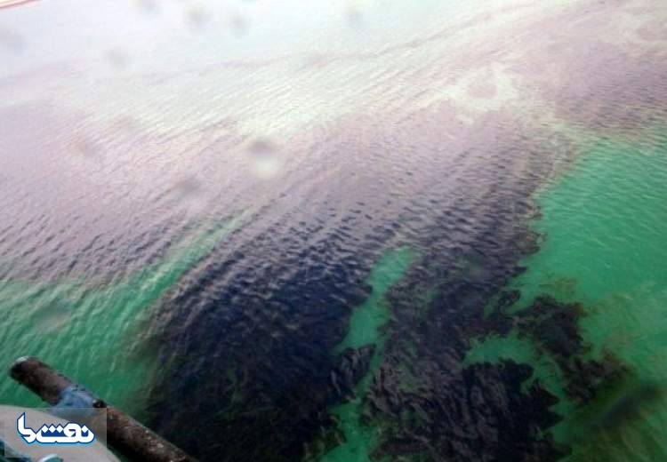 ماجرای کشف آلودگی نفتی در رودخانه کرج