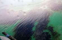 ماجرای کشف آلودگی نفتی در رودخانه کرج