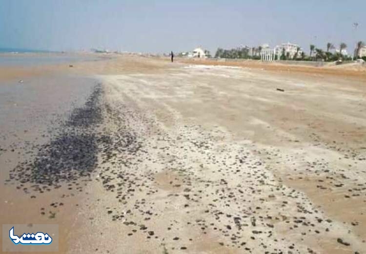 لکه‌های نفتی ساحل گناوه را آلوده کردند