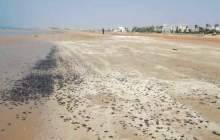 ساحل گناوه باز هم به لکه‌های نفتی آلوده شد