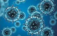 آنفلوآنزا از کِی شروع می شود؟