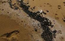 ماجرای آلودگی نفتی در ساحل کنگان
