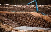 بحران سوخت قیمت چوب را در اسپانیا گران کرد