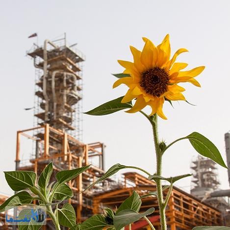  روزی برای پتروشیمی 