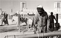 دبی پیش از کشف نفت +تصاویر