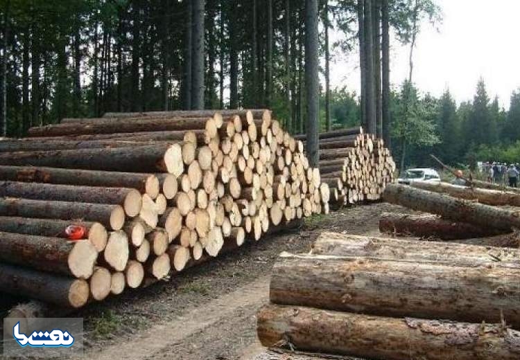 حاشیه های برکناری مدیرعامل شرکت جنگل شفارود