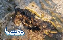 منشاء آلودگی نفتی قشم در حال بررسی است