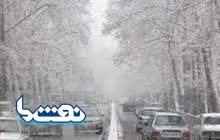بارش برف مدارس تهران را تعطیل کرد