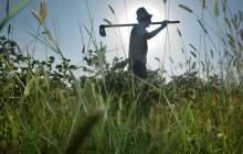 هشدار درباره کمبود مواد غذایی با گسترش کرونا