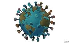 کرونا در کدام کشورها بیشترین قربانی را گرفت؟