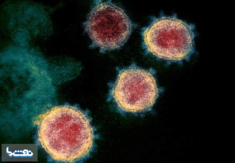 چگونه در محیط کار از کرونا در امان بمانیم؟