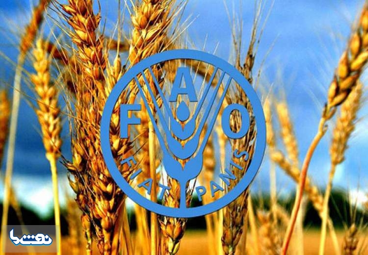 هشدار فائو درباره تاثیر کرونا بر زنجیره تامین غذا
