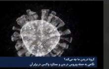 کرونا در بدن ما چه می‌کند؟  <img src="/images/video_icon.png" width="16" height="16" border="0" align="top">