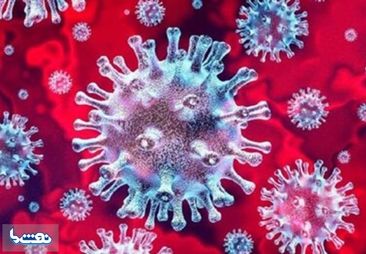 «کرونا» از حیوان به انسان منتقل می‌شود؟
