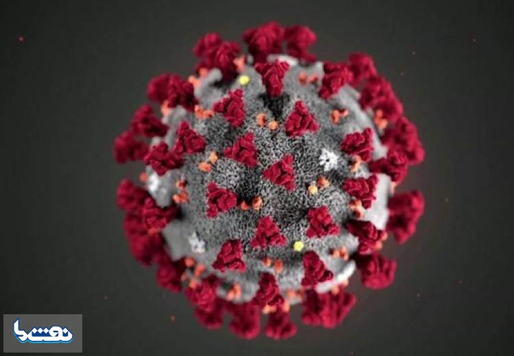کرونا چگونه به بدن حمله می کند؟
