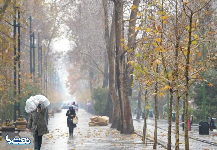 مناطق شمالی کشور بارانی می‌شود