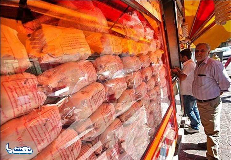 صدور دستور قضایی ترخیص فوری ۱۰۰۰ تن مرغ