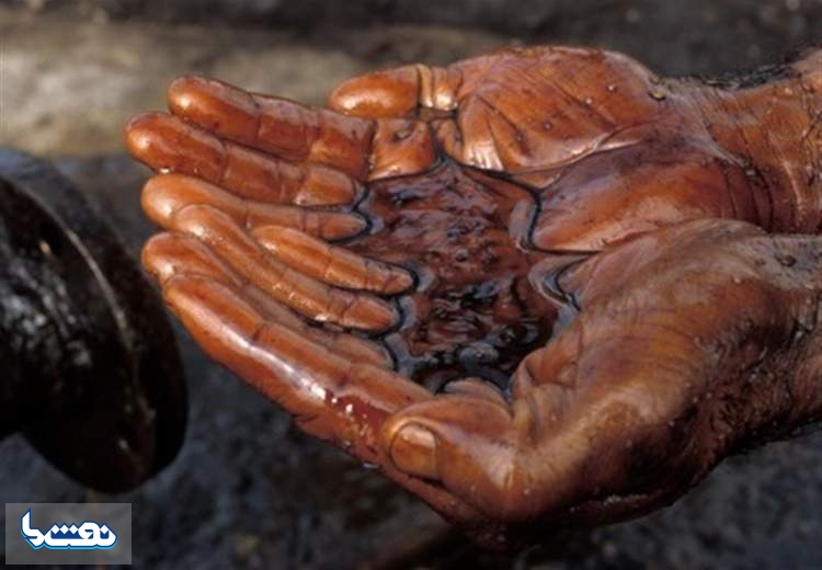 آلودگی نفتی روزگار محیط زیست را سیاه کرد