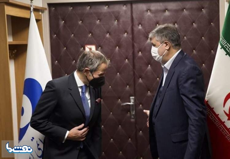 گروسی با رییس سازمان انرژی اتمی دیدار کرد