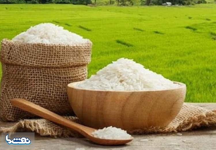 قیمت برنج کاهشی می شود؟