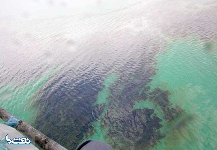 منشا آلودگی نفتی در ساحل بحرکان هندیجان چه بود؟