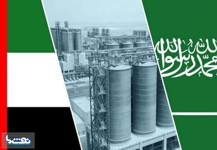 امارات در بازی نفتی از عربستان امتیاز گرفت؟