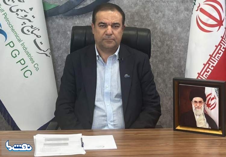 توان ساخت پتروشیمی با ۸۰ درصد توان داخلی را داریم