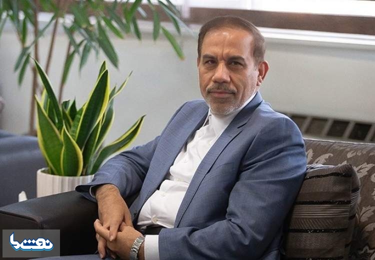 توضیحات سخنگوی قوه قضائیه درباره دستگیری صادق زیباکلام