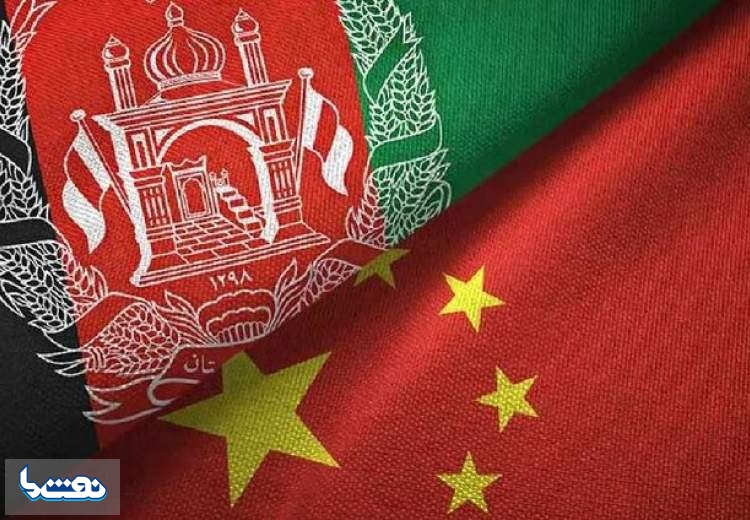 طالبان ۸۰ میلیون دلار نفت فروخت