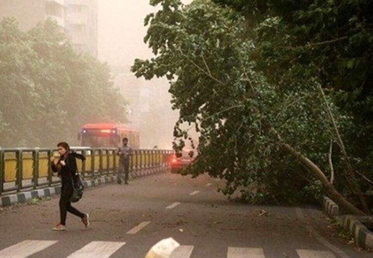 هشدار برای تهران؛ وزش باد شدید و فعالیت سامانه بارشی