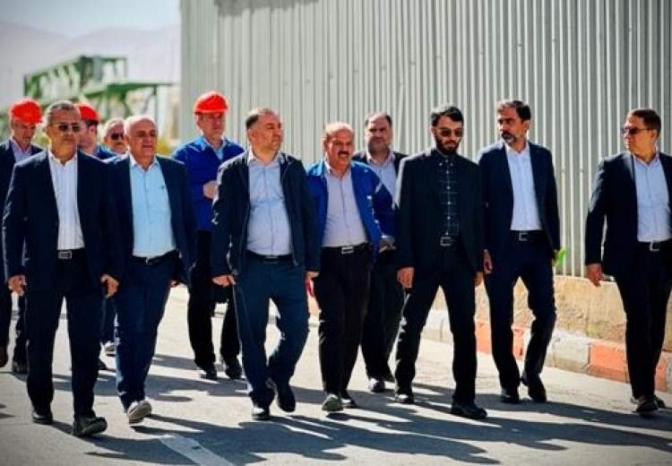 بازدید مشاور وزیر کار از پتروشیمی شازند