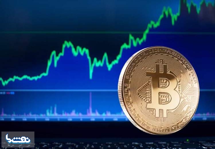 بیت‌کوین در رشد قیمت بی‌رقیب شد
