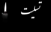 رییس هیات مدیره پتروشیمی بوشهر عزادار شد