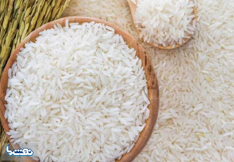 قیمت برنج ایرانی تا دو هفته آینده کاهش می‌یابد
