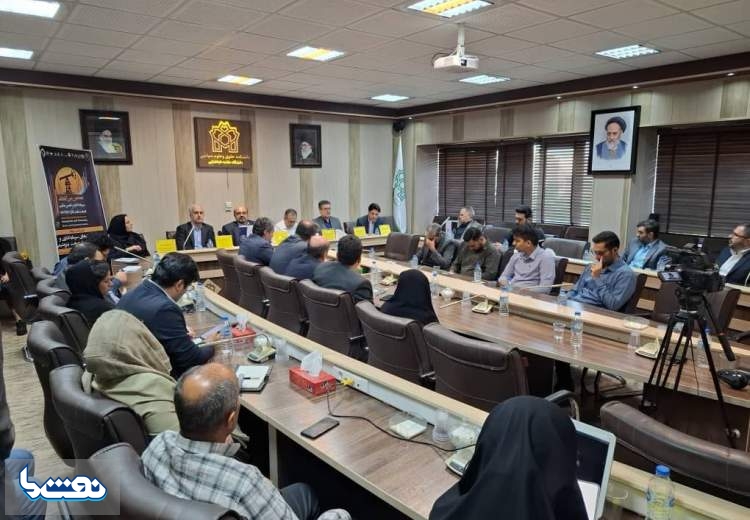 اجرای اسنپ بک بر تامین خوراک و بازار پتروشیمی ایران تاثیرگذار خواهد بود