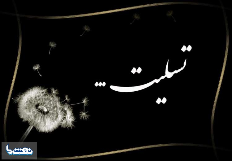  مدیرعامل پتروشیمی بوعلی به سوگ نشست