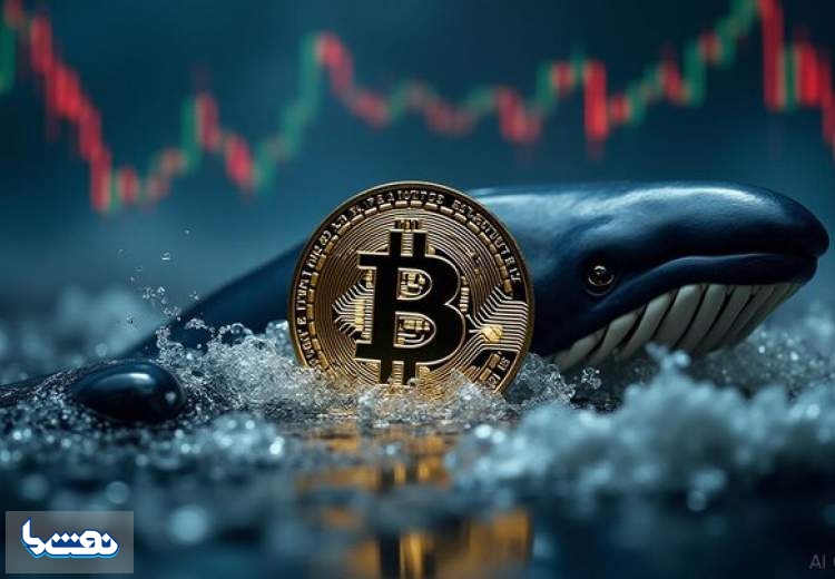 آخرین وضعیت بازار رمزارزها در جهان