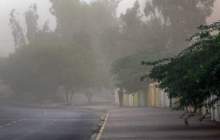 هشدار وزش باد شدید و کاهش دما در تهران