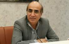 بدنبال قانع کردن وزارت نفت برای حذف نرخ هاب‌های اروپایی از فرمول خوراک پتروشیمی ها هستیم