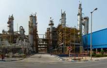 افزایش ۳۱ درصدی درآمد پتروشیمی مروارید