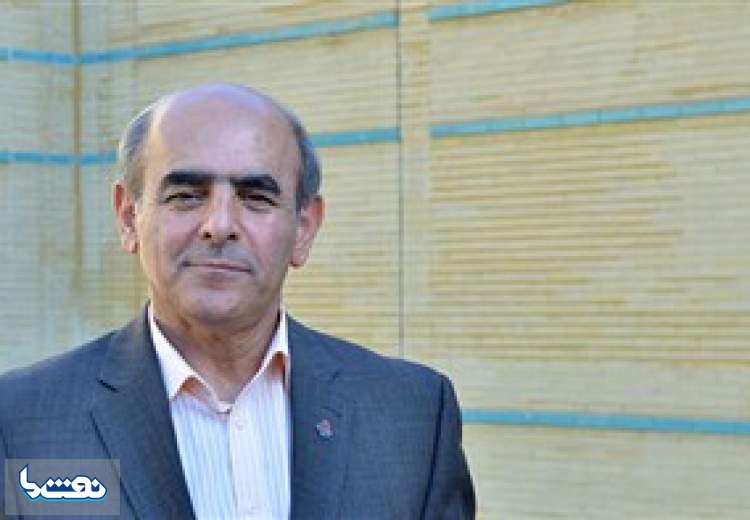 تا معضل مصرف سوخت بالای خودروهای داخلی حل نشود نرخ گذاری فایده ای نخواهد داشت